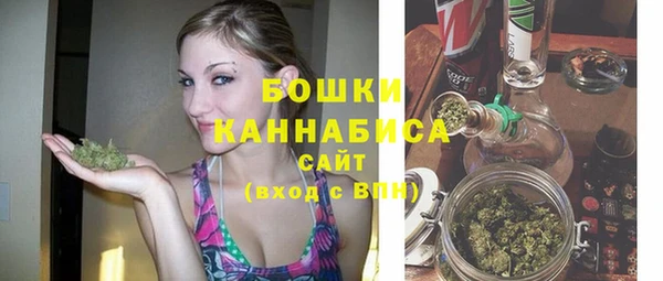 ГАЛЛЮЦИНОГЕННЫЕ ГРИБЫ Белоозёрский