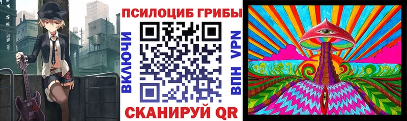 shop как зайти  ОМГ ОМГ как зайти  Мураши  где можно купить   Галлюциногенные грибы Psilocybe 