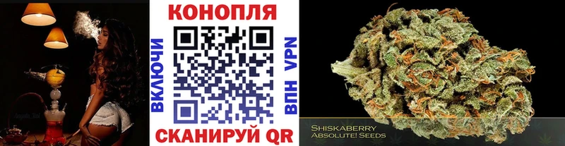Конопля конопля  Мураши 
